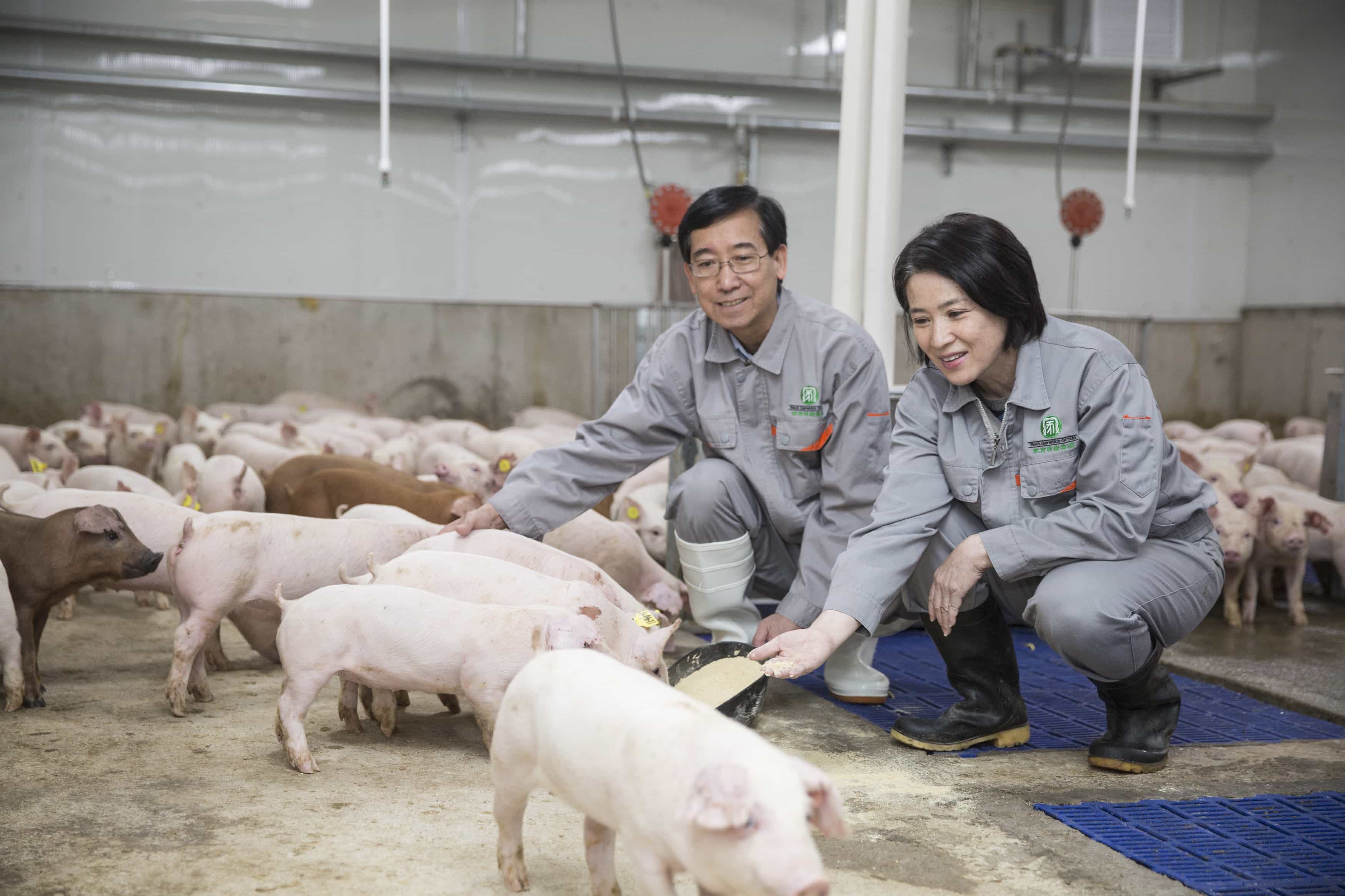 Modern breeding farm