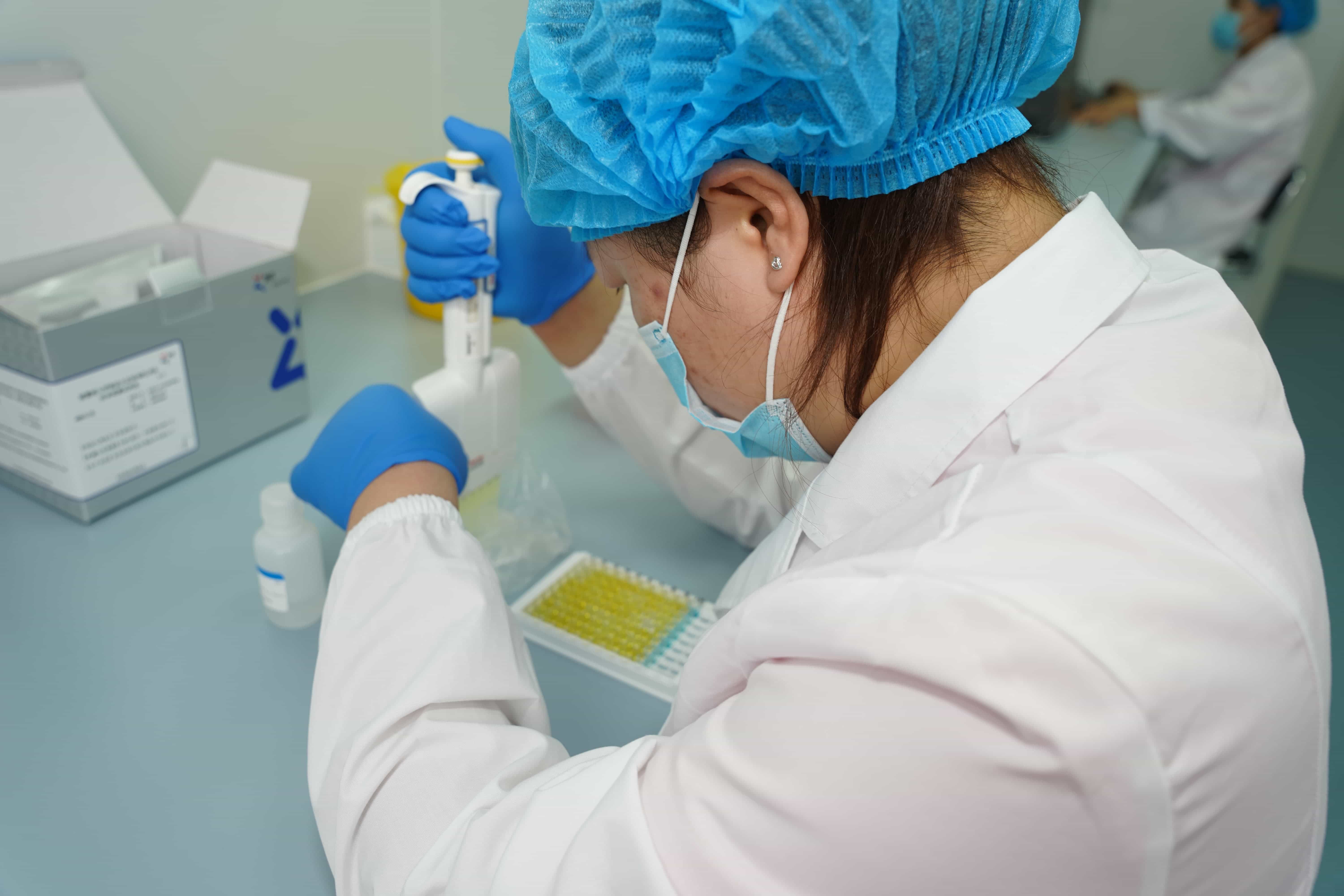 Standardized Testing and Production Workflow for 600,000 Doses of Premium Boar Semen