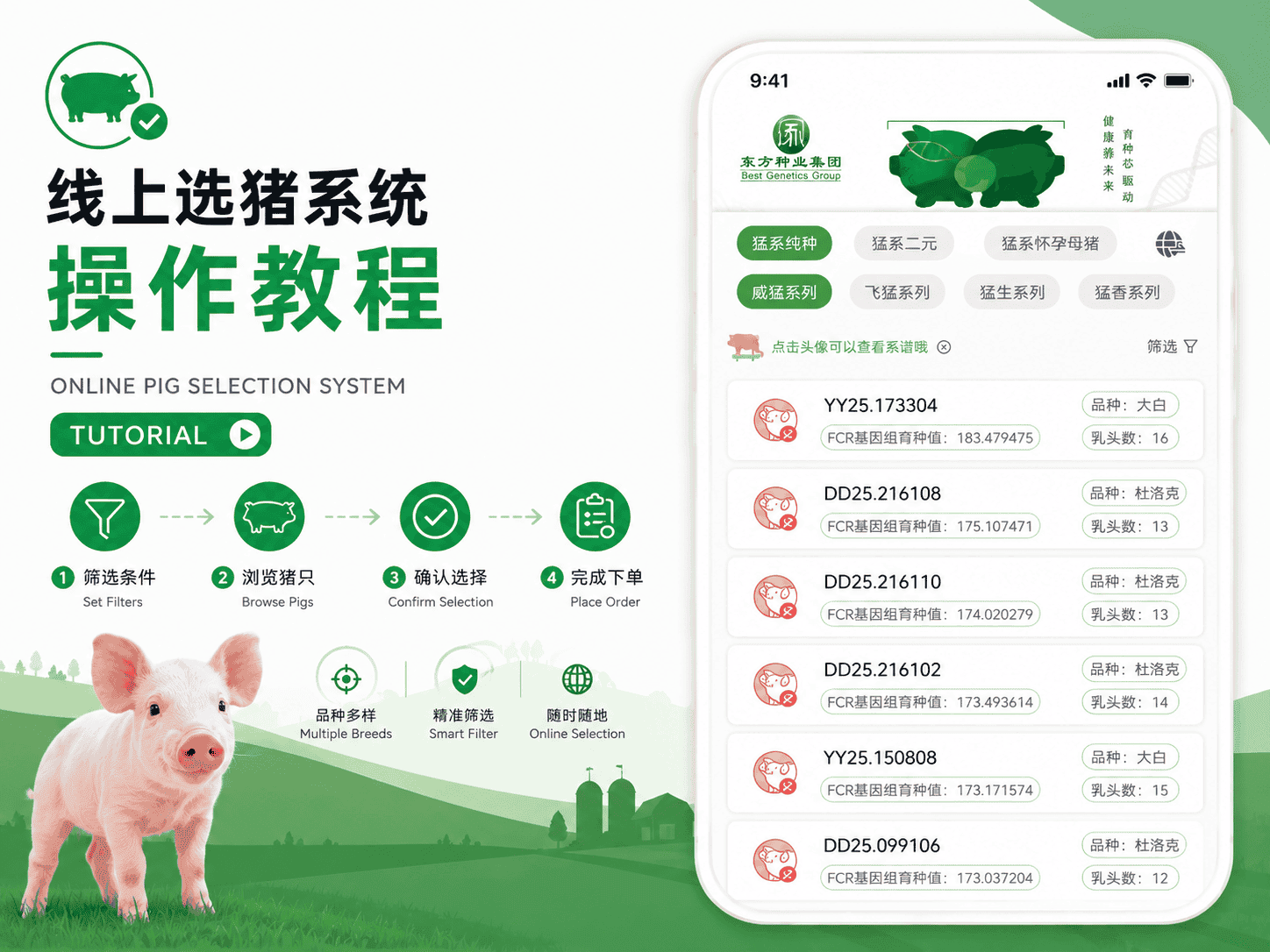 BGG Meng-Series Mini Program: Transparent and Precise Online Breeding Pig Selection